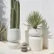 White fiberglass plant pots 