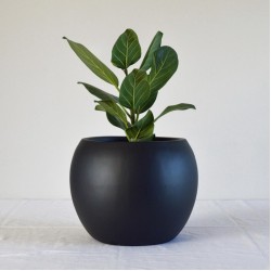 Egg shape planter 