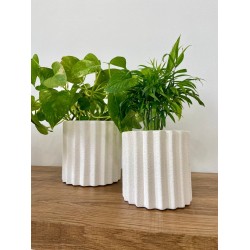 cylinder white pots 