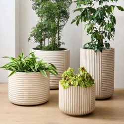 Flower pot & planter 