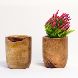 Dalbergia sissoo Vase 