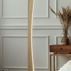 Led light stand with curve 